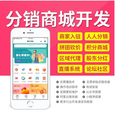 分銷軟件開發(fā).jpg