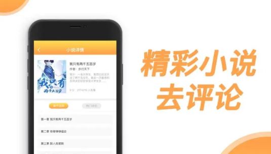 小說系統(tǒng)開發(fā).jpg