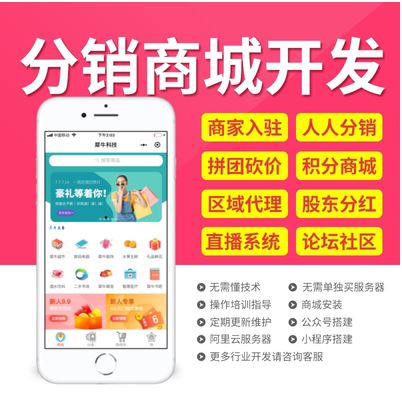 分銷軟件開發(fā).jpg